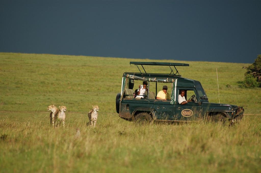 Day 1: Nairobi to Masai mara