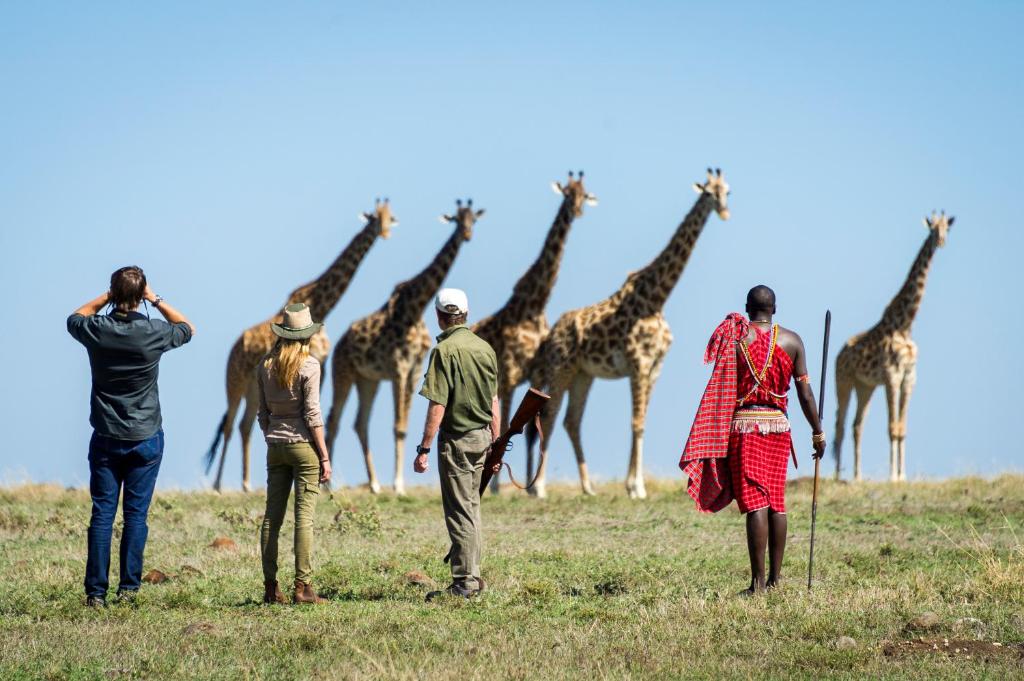 Day 4: Masai mara to Nairobi