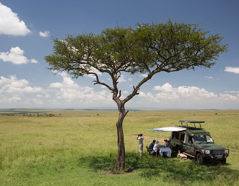 Day 2 and Day 3: Masai Mara full day