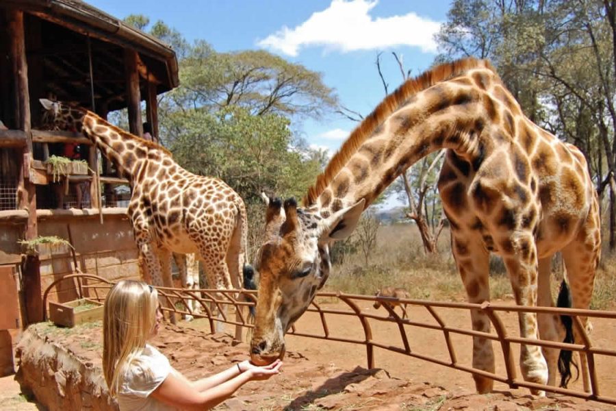 Nairobi City Tour
