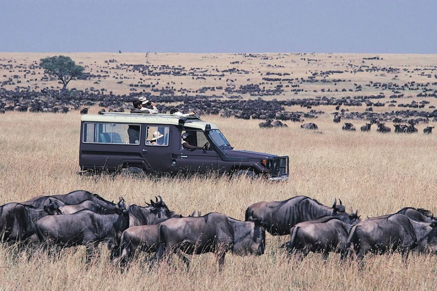 3 Days Masai mara
