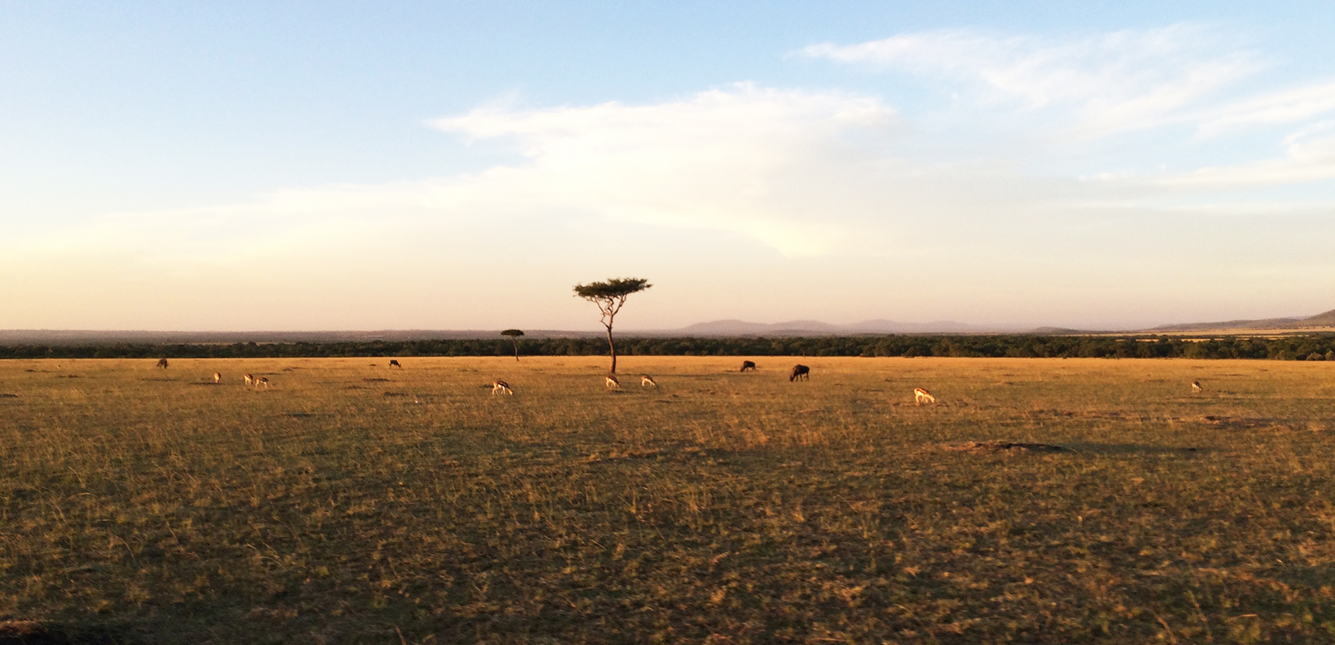Day 3: Masai mara to Nairobi