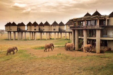 5 Days Amboseli, Tsavo West, Tsavo East and Taita Saltlick Lodge