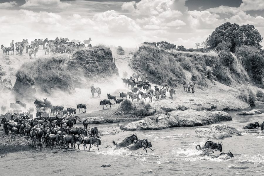 3 Days Masai mara Air Safari Package: Entim Mara Camp