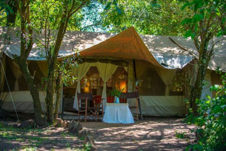 4 Days Masai mara Air safari: Speke’s Camp