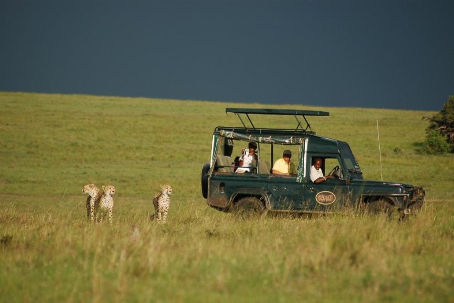 4 Days Maasai mara Air Safari: Mara Intrepids Camp