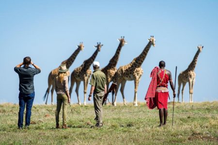 4 Days Masai Mara Air Safari: Governors Camp