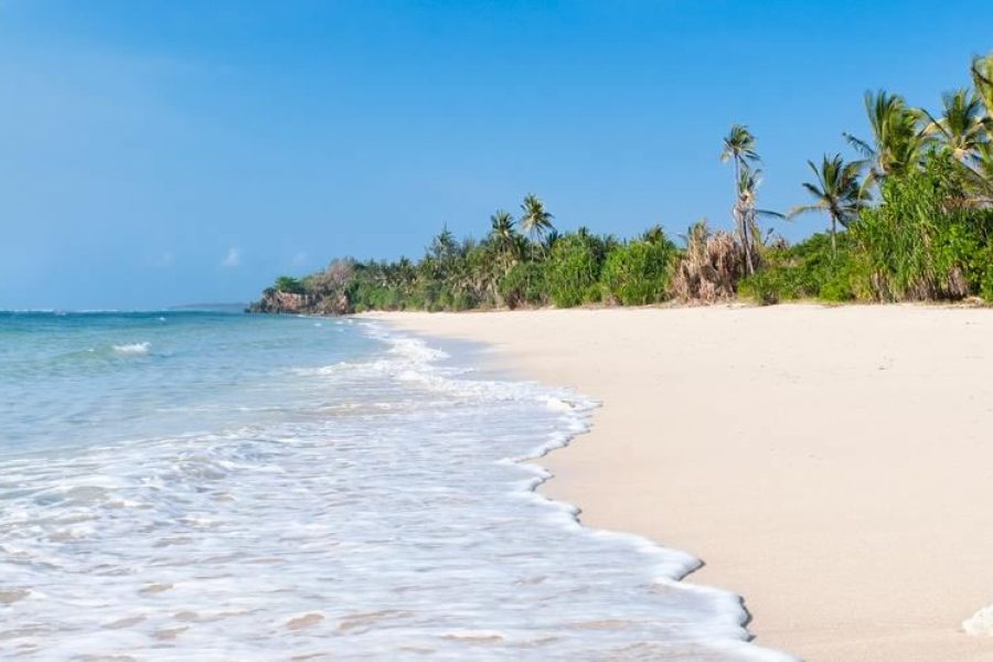 12 Days Safari and Beach Vacation