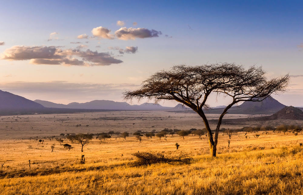 Excel Getaways Limited – Kenya and Tanzania private safaris