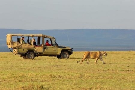 4 Days Maasai Mara Air Safari: Basecamp Maasai mara