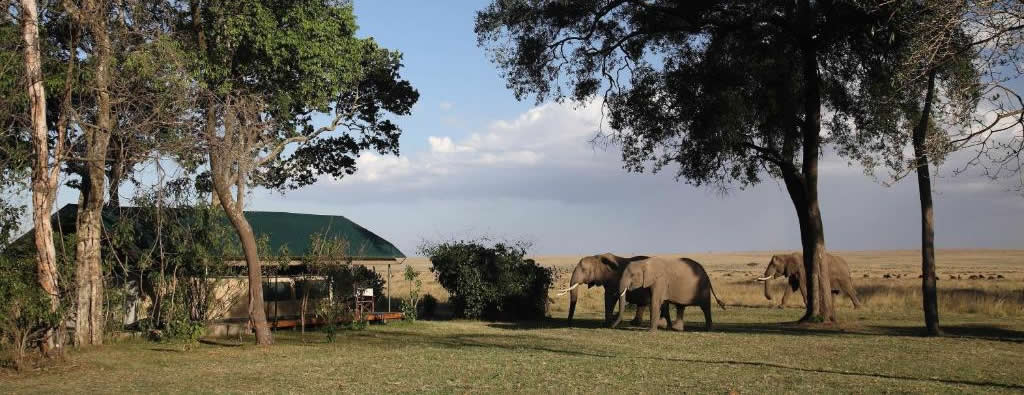 Governors Camp: 4 Days Masai Mara Air Safari