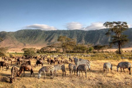 5 Days Serengeti Migration Safari