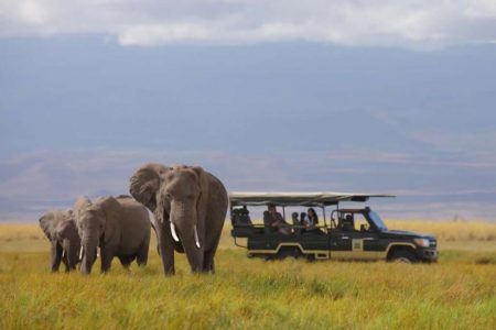 13 Days Kenya Luxury Safari : Elewana Collection