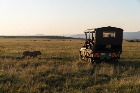 4 Days Maasai Mara Air Safari; Eagle View Camp Naboisho Conservancy