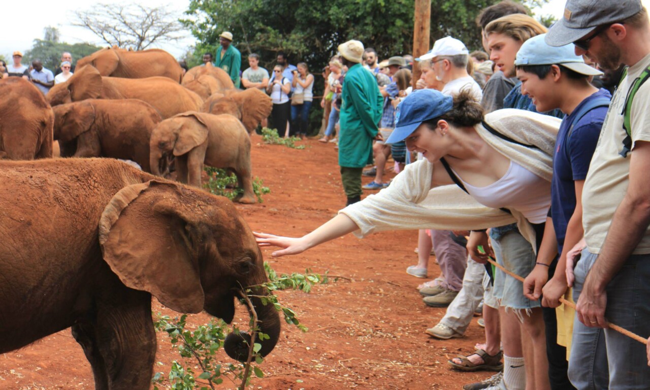 Day 2: Nairobi National park, Sheldrick elephants and the Giraffe Center